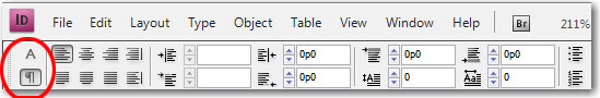Click the Paragraph View