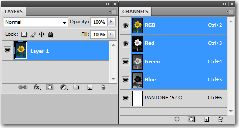 Adobe Photoshop