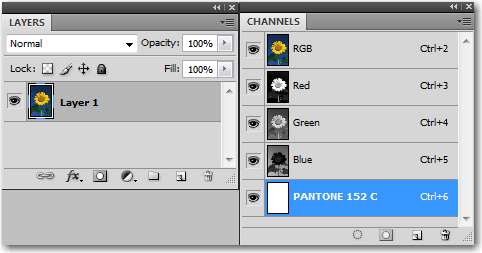 Adobe Photoshop