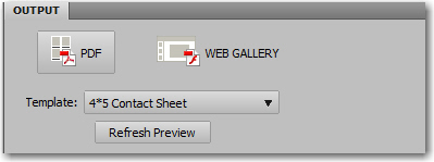 The Output tab