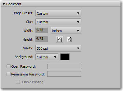 The Document tab
