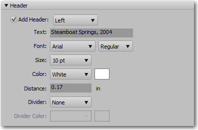 The Footer tab