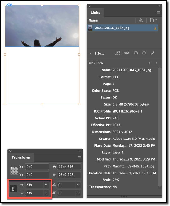 Adobe InDesign: Restore Aspect Ratio