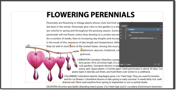 Adobe InDesign: Layer basics – Rocky Mountain Training