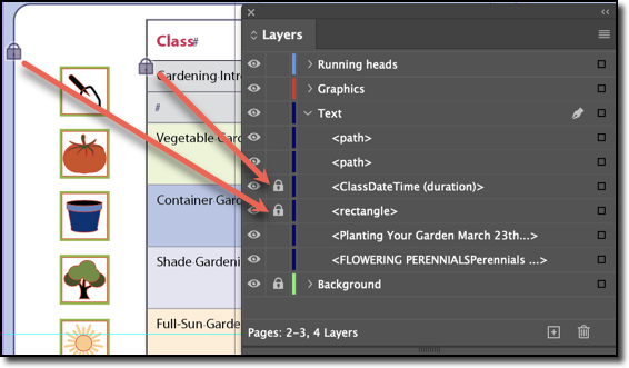 Adobe InDesign: Layer Basics